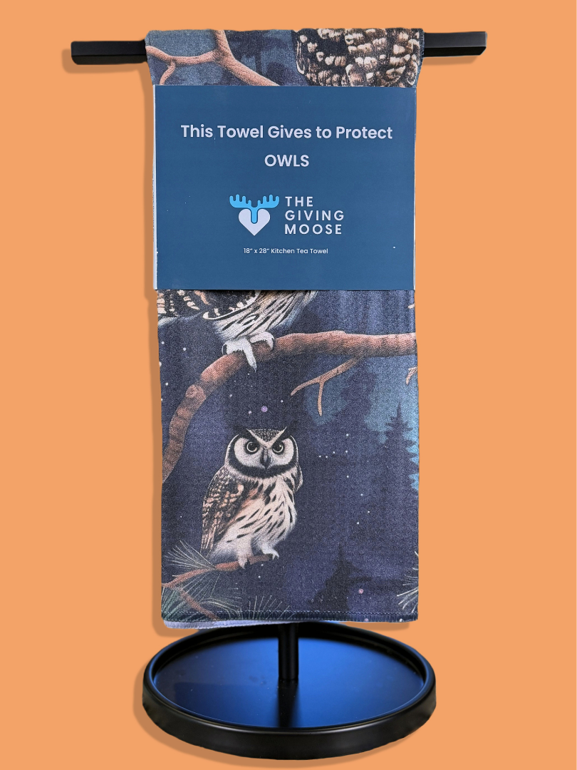 Protect Owls