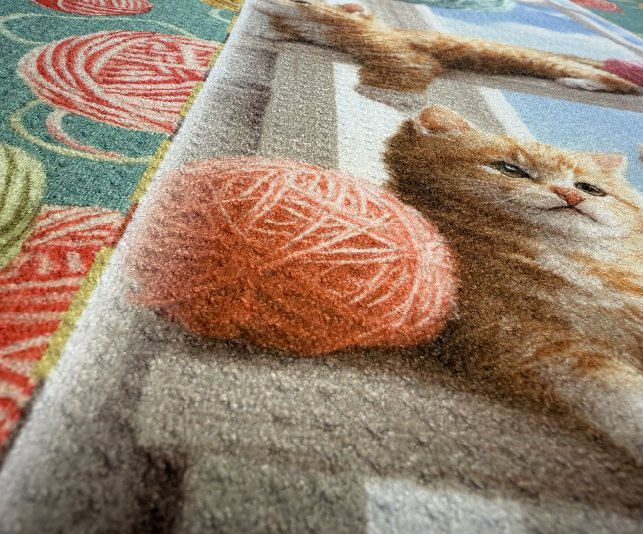 Protect Cats & Kittens