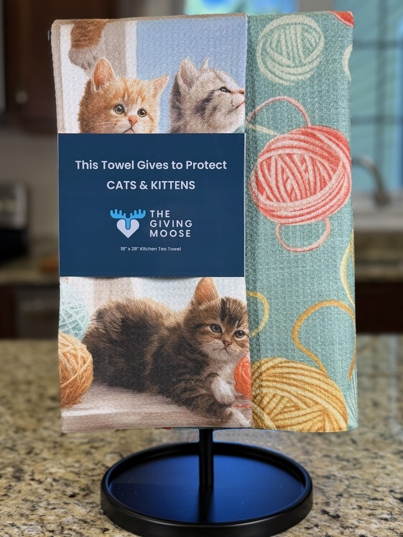 Protect Cats & Kittens